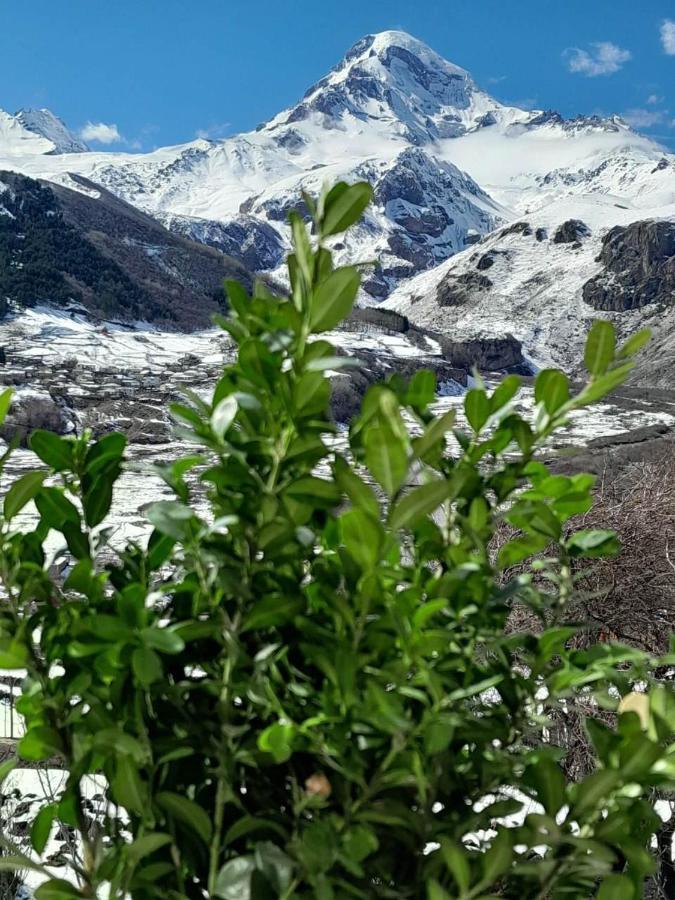 Apartamento Emotion Kazbegi Exterior foto